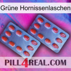 Grüne Hornissenlaschen 05